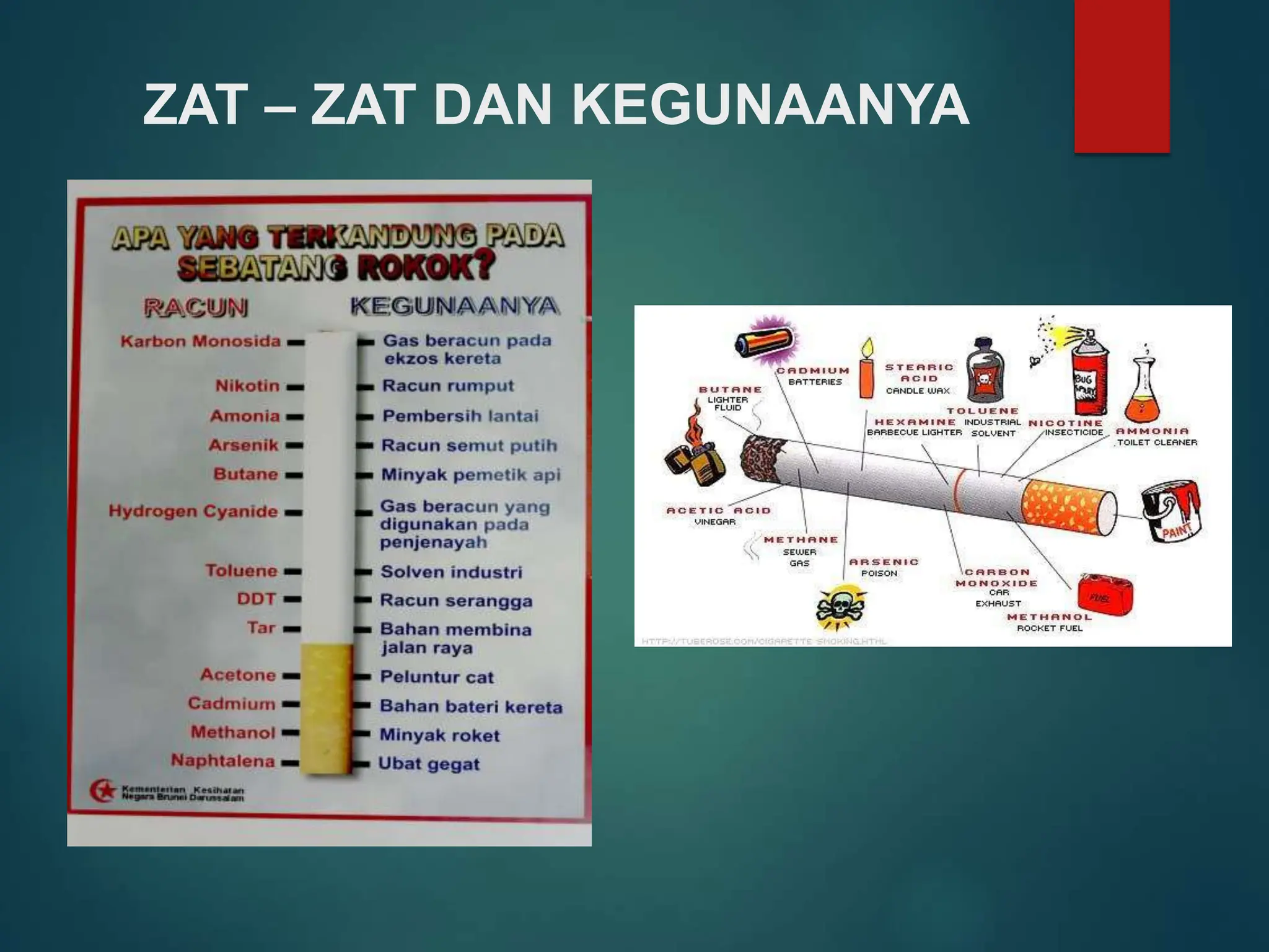 Bahaya Rokok bagi kesehatan tubuh dan.ppt