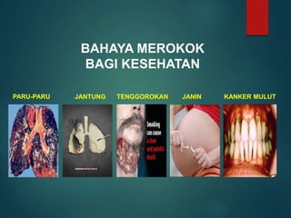 Bahaya Rokok bagi kesehatan tubuh dan.ppt
