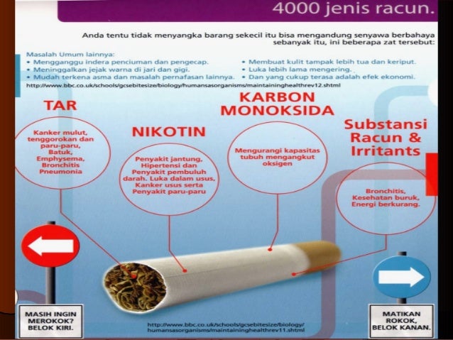 Bahaya Rokok Bagi Kesehatan Bahaya Rokok Bagi Kesehatan