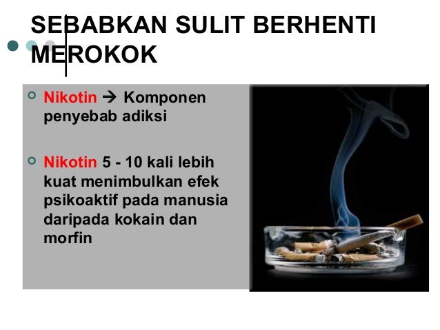 Bahaya Rokok Bagi Kesehatan 45702502