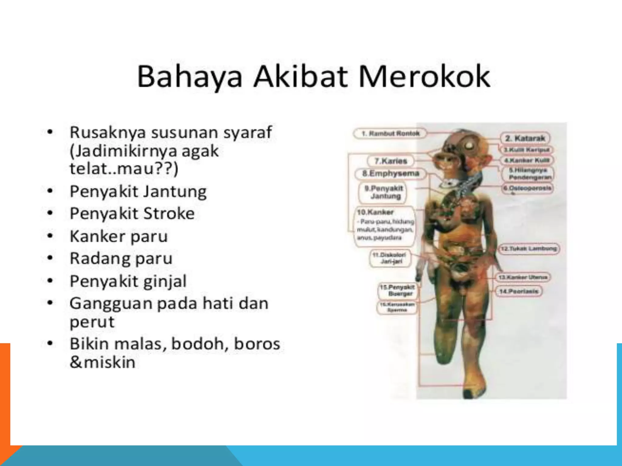 Bahaya rokok bagi kesehatan | PPTX