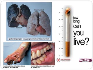 Bahaya rokok dalam kehidupan | PPTX