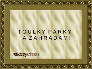 T O U L K Y  P A R K Y  A  Z A H R A D A M I Click Pps Series 