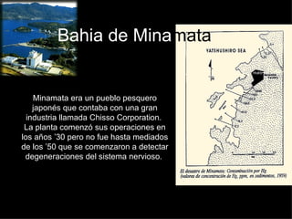 Bahia de Mina mata Minamata era un pueblo pesquero japonés que contaba con una gran industria llamada Chisso Corporation.  La planta comenzó sus operaciones en los años ’30 pero no fue hasta mediados de los ’50 que se comenzaron a detectar degeneraciones del sistema nervioso.  