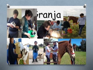 Granja
 