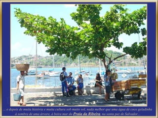 ... e depois de muita história e muita cultura sob muito sol, nada melhor que uma água de coco geladinha  à sombra de uma árvore, à beira mar da  Praia da Ribeira , na santa paz de Salvador...  