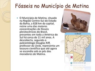 Fósseis no Município de MatinaO Município de Matina, situado na Região Centro-Sul do Estado da Bahia, a 828 km da capital, reúne uma das maiores concentrações de fósseis pleistocênicos do Brasil, presentes em toda a América do Sul há cerca de 11 mil anos. A descoberta, segundo o paleontólogo Douglas Riff, professor da Uesb, representa um tesouro científico que até agora se escondia sob os pés dos moradores de Matina.