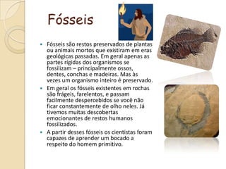 FósseisFósseis são restos preservados de plantas ou animais mortos que existiram em eras geológicas passadas. Em geral apenas as partes rígidas dos organismos se fossilizam – principalmente ossos, dentes, conchas e madeiras. Mas às vezes um organismo inteiro é preservado.Em geral os fósseis existentes em rochas são frágeis, farelentos, e passam facilmente despercebidos se você não ficar constantemente de olho neles. Já tivemos muitas descobertas emocionantes de restos humanos fossilizados. A partir desses fósseis os cientistas foram capazes de aprender um bocado a respeito do homem primitivo. 