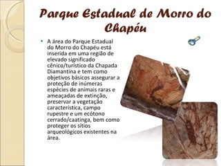 Parque Estadual de Morro do Chapéu A área do Parque Estadual do Morro do Chapéu está inserida em uma região de elevado significado cênico/turístico da Chapada Diamantina e tem como objetivos básicos assegurar a proteção de inúmeras espécies de animais raras e ameaçadas de extinção, preservar a vegetação característica, campo rupestre e um ecótono cerrado/caatinga, bem como proteger os sítios arqueológicos existentes na área. 
