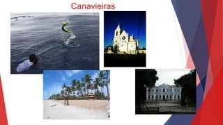 Canavieiras
 