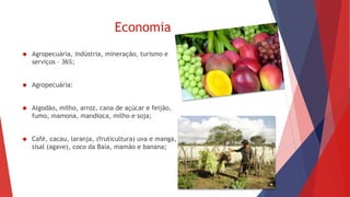 Economia 
 Agropecuária, indústria, mineração, turismo e 
serviços – 36%; 
 Agropecuária: 
 Algodão, milho, arroz, cana de açúcar e feijão, 
fumo, mamona, mandioca, milho e soja; 
 Café, cacau, laranja, (fruticultura) uva e manga, 
sisal (agave), coco da Baía, mamão e banana; 
 