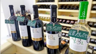 Vale do São Francisco 
 Juazeiro da Bahia, principal ponto de divisa entre os estados da Bahia e 
Pernambuco, mantém-se com um próspero comércio às margens do Rio São 
Francisco e um moderno polo agroindustrial, com intensa atividade de 
exportação. 
 