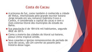 Costa do Cacau 
 A princesa do Sul, como também é conhecida a cidade 
de Ilhéus, imortalizada pelo grande escritor baiano 
Jorge Amado em seu romance Gabriela Cravo e 
Canela, é considerada a capital do cacau e tem o 
mais extenso litoral dos municípios do estado da 
Bahia. 
 Sua população é de 184 616 mil habitantes, segundo 
IBGE de 2013. 
 Como a maioria das cidades do litoral sul-baiano, 
possui clima tropical úmido. 
 Seus casarões e igrejas remanescentes do período de 
ouro do cacau, são um convite ao passeio pela 
história desse lugar. 
 