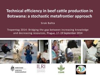 Technical efficiency in beef cattle production in 
Botswana: a stochastic metafrontier approach 
Sirak Bahta 
Tropentag 2014: Bridging the gap between increasing knowledge 
Sirak Bahta 
and decreasing resources, Prague, 17−19 September 2014 
International Livestock Research Institute (ILRI) 
 