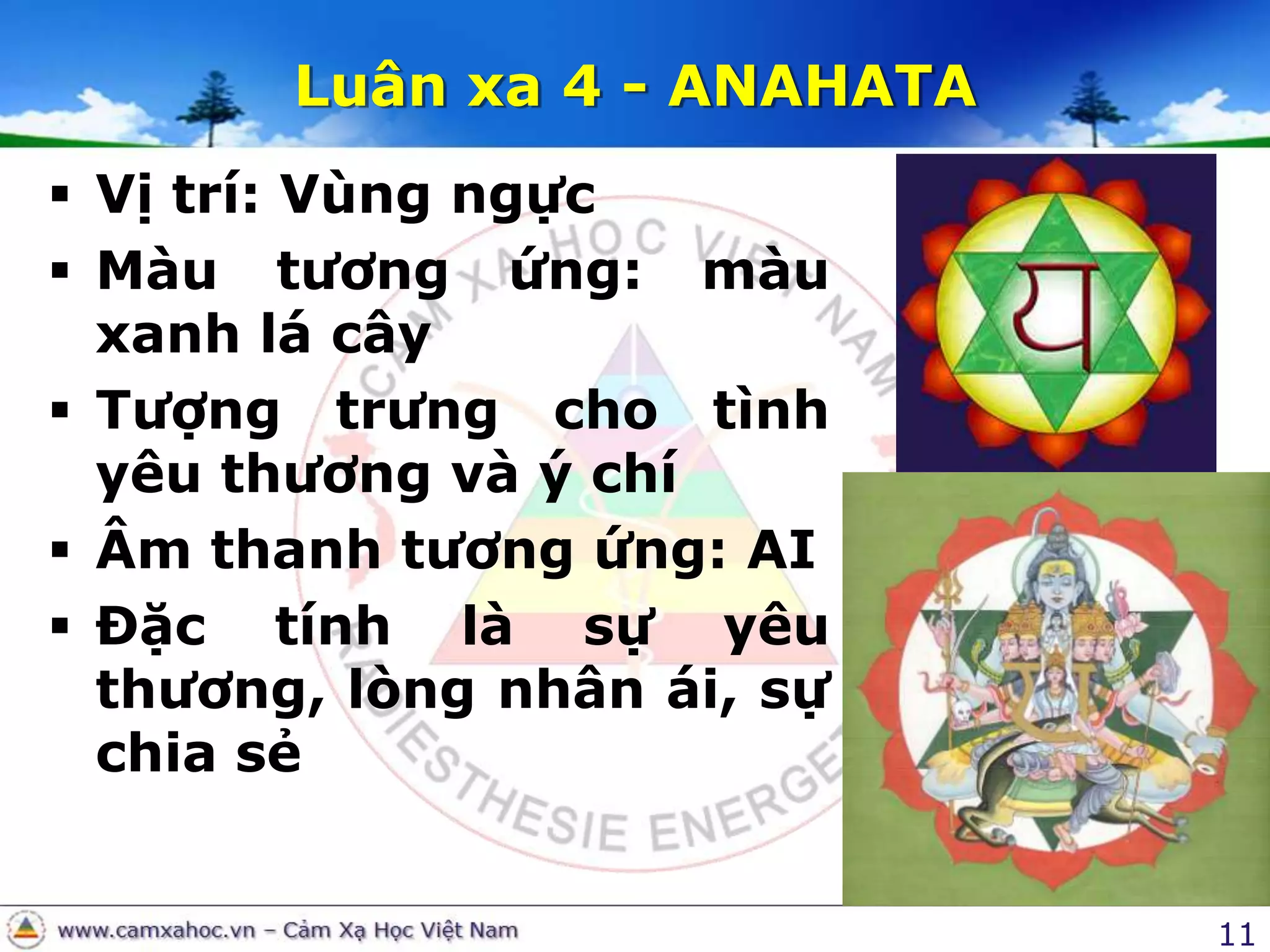 11Luân xa 4 - ANAHATAVị trí: Vùng ngựcMàu tương ứng: màu xanh lá câyTượng trưng cho tình yêu thương và ý chíÂm thanh tương ứng: AIĐặc tính là sự yêu thương, lòng nhân ái, sự chia sẻ