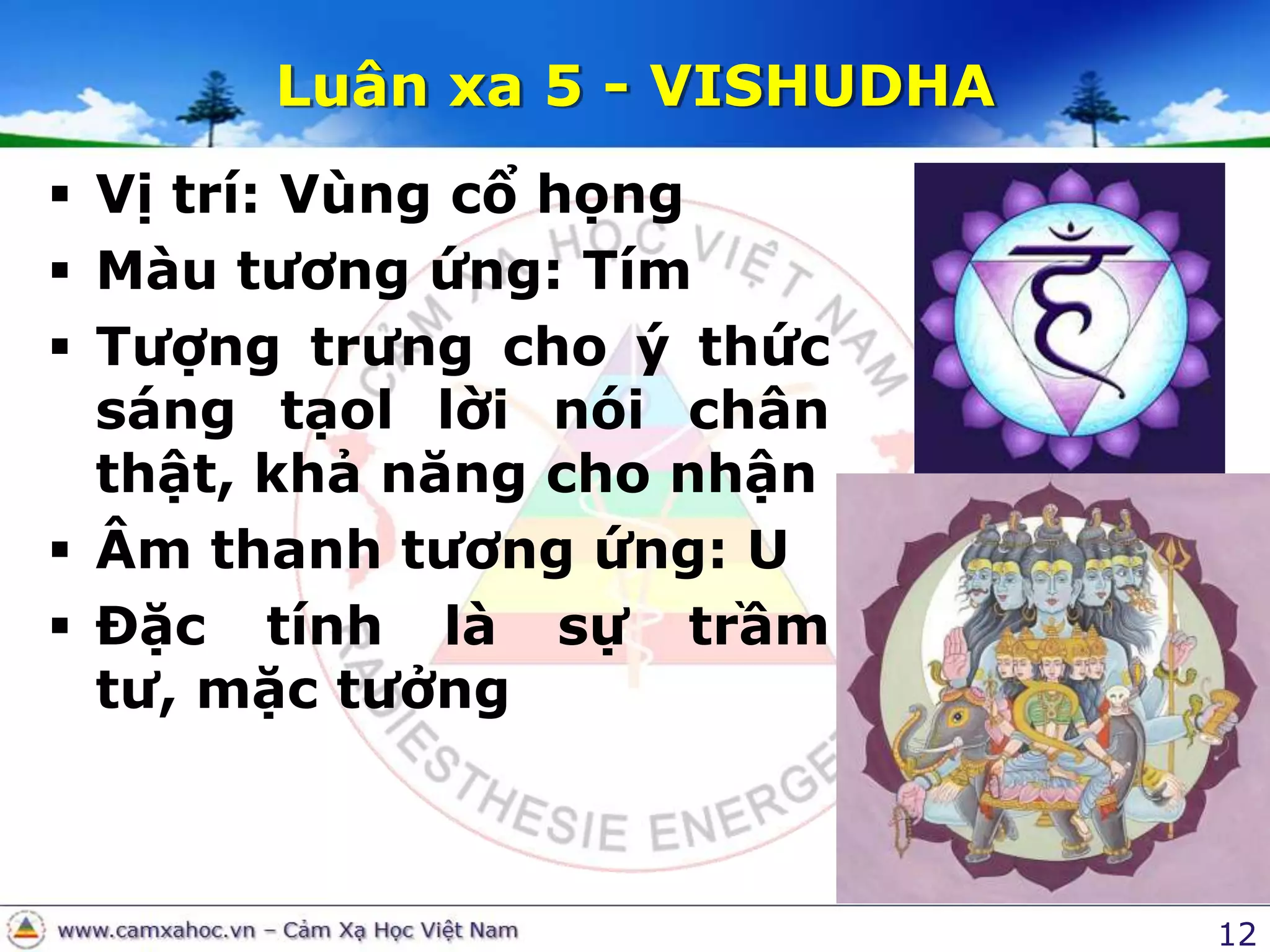 12Luân xa 5 - VISHUDHAVị trí: Vùng cổ họngMàu tương ứng: TímTượng trưng cho ý thức sáng tạol lời nói chân thật, khả năng cho nhậnÂm thanh tương ứng: UĐặc tính là sự trầm tư, mặc tưởng