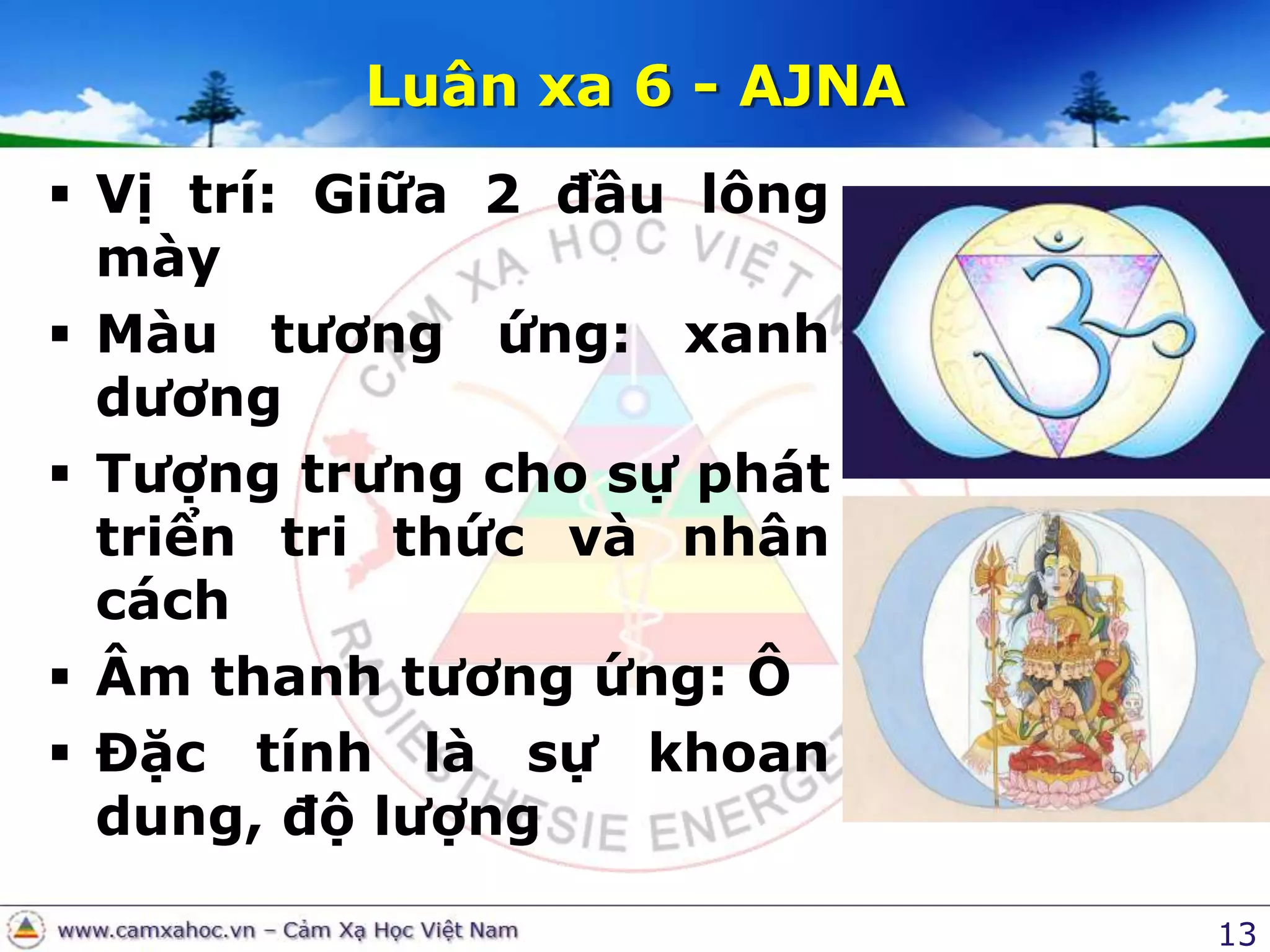 13Luân xa 6 - AJNAVị trí: Giữa 2 đầu lông màyMàu tương ứng: xanh dươngTượng trưng cho sự phát triển tri thức và nhân cáchÂm thanh tương ứng: ÔĐặc tính là sự khoan dung, độ lượng
