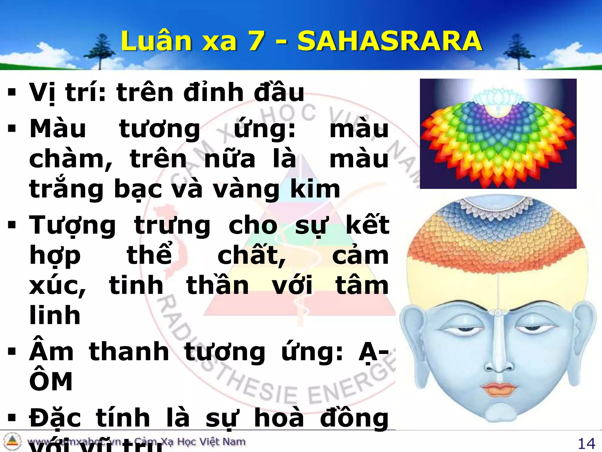 14Luân xa 7 - SAHASRARAVị trí: trên đỉnh đầu Màu tương ứng: màu chàm, trên nữa là  màu trắng bạc và vàng kimTượng trưng cho sự kết hợp thể chất, cảm xúc, tinh thần với tâm linhÂm thanh tương ứng: Ạ-ÔMĐặc tính là sự hoà đồng với vũ trụ