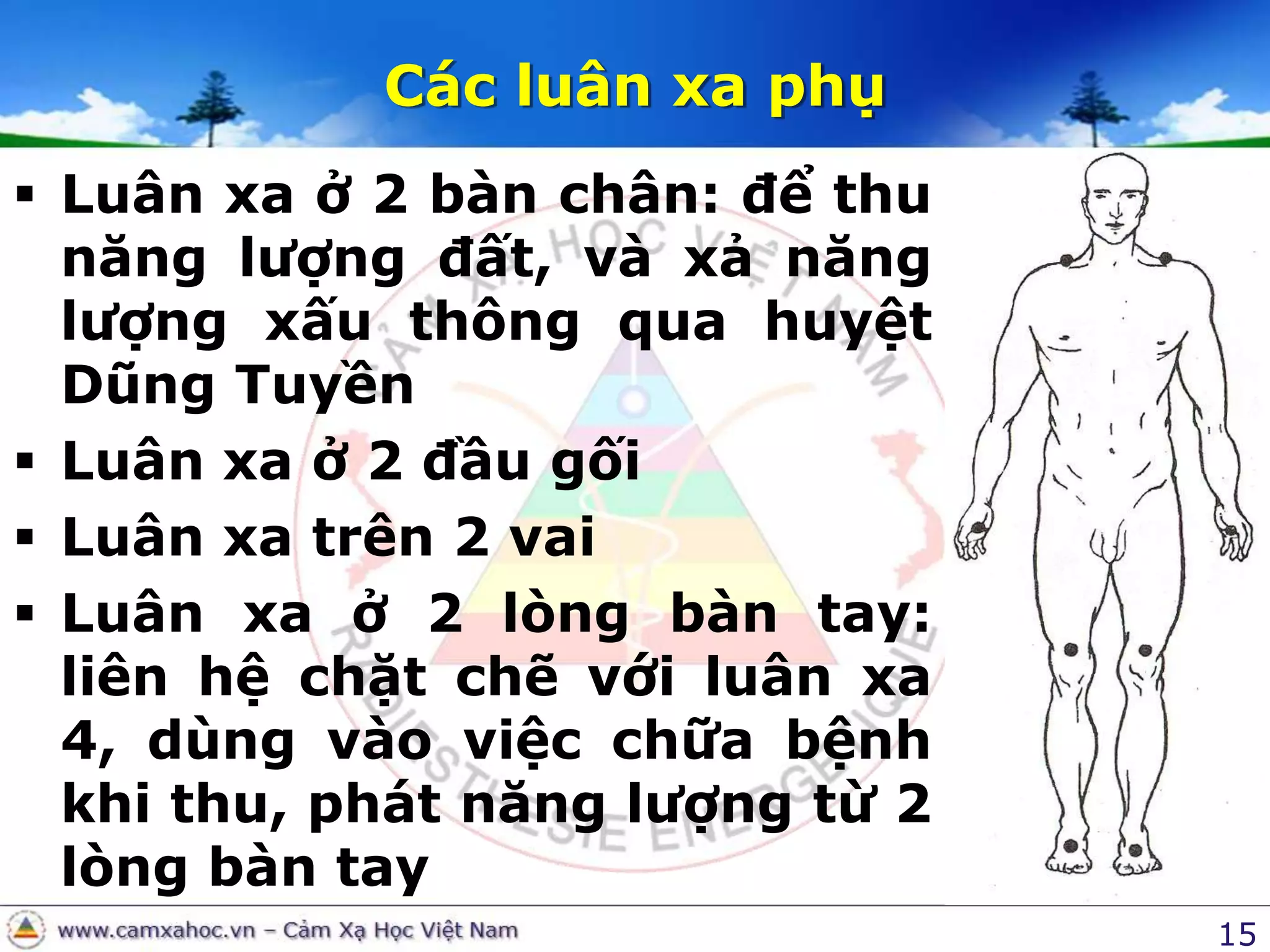 15Các luân xa phụLuân xa ở 2 bàn chân: để thu năng lượng đất, và xả năng lượng xấu thông qua huyệt Dũng TuyềnLuân xa ở 2 đầu gốiLuân xa trên 2 vaiLuân xa ở 2 lòng bàn tay: liên hệ chặt chẽ với luân xa 4, dùng vào việc chữa bệnh khi thu, phát năng lượng từ 2 lòng bàn tay
