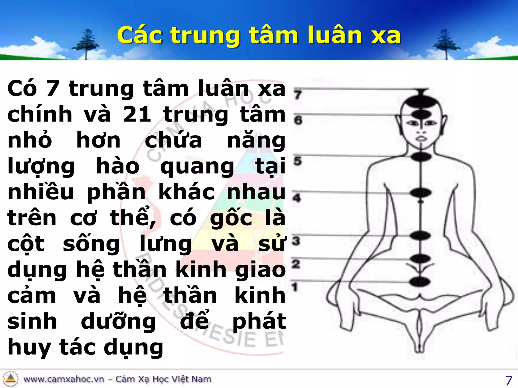 7Các trung tâm luân xaCó 7 trung tâm luân xa chính và 21 trung tâm nhỏ hơn chứa năng lượng hào quang tại nhiều phần khác nhau trên cơ thể, có gốc là cột sống lưng và sử dụng hệ thần kinh giao cảm và hệ thần kinh sinh dưỡng để phát huy tác dụng