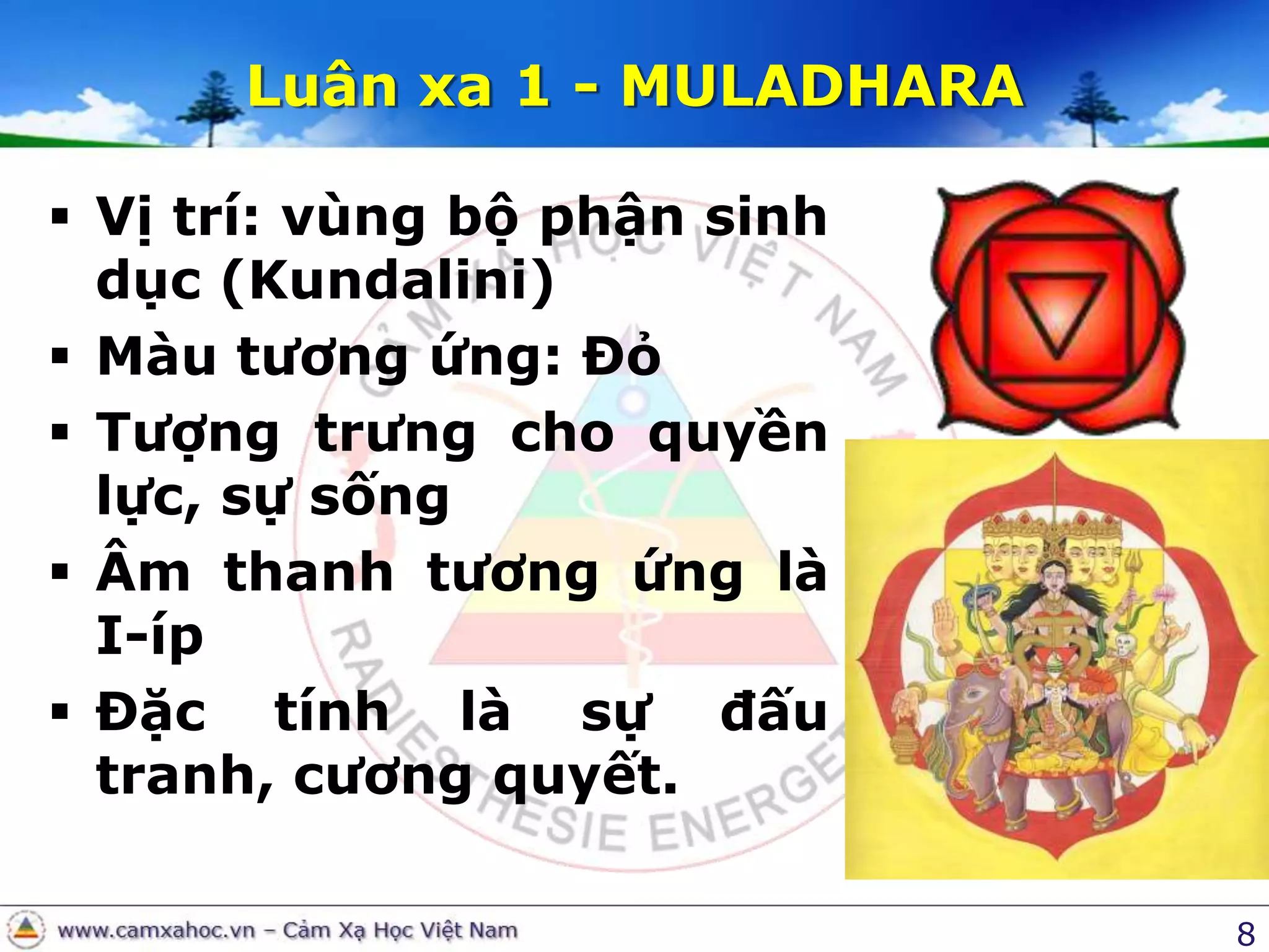 8Luân xa 1 - MULADHARAVị trí: vùng bộ phận sinh dục (Kundalini)Màu tương ứng: ĐỏTượng trưng cho quyền lực, sự sốngÂm thanh tương ứng là I-ípĐặc tính là sự đấu tranh, cương quyết. 