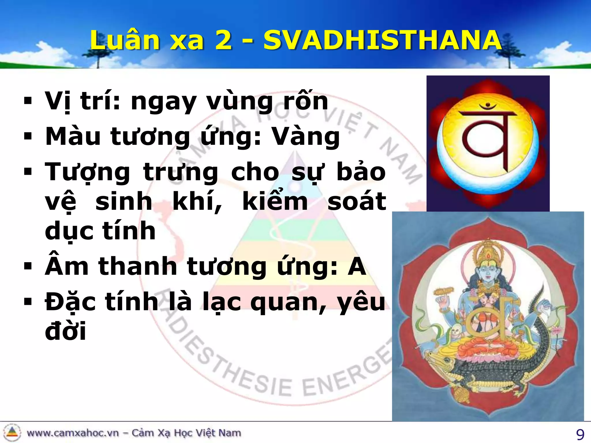 9Luân xa 2 - SVADHISTHANAVị trí: ngay vùng rốnMàu tương ứng: VàngTượng trưng cho sự bảo vệ sinh khí, kiểm soát dục tínhÂm thanh tương ứng: AĐặc tính là lạc quan, yêu đời