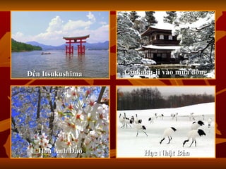 Đền Itsukushima Ginkaku-ji vào mùa đông Hoa Anh Đào Hạc Nhật Bản 