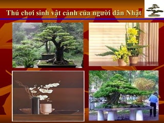 Thú chơi sinh vật cảnh của người dân Nhật 