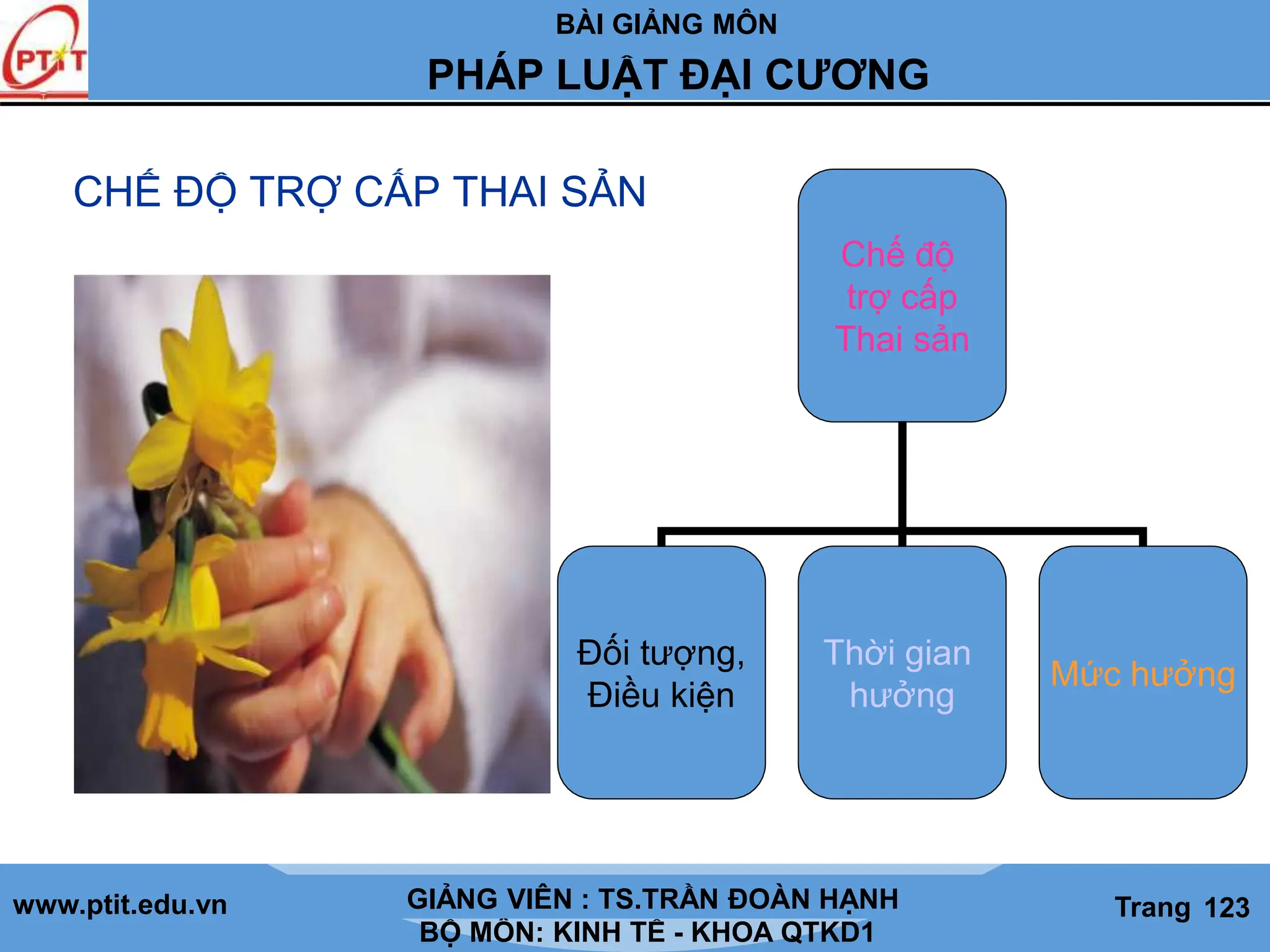 BÀI GIẢNG MÔN
LỊCH SỬ CÁC HỌC THUYẾT KINH TẾ
www.ptit.edu.vn GIẢNG VIÊN: TS. NGUYỄN VĂN A
BỘ MÔN: KINH TẾ - KHOA QTKD1
Trang #
PHÁP LUẬT ĐẠI CƯƠNG
GIẢNG VIÊN : TS.TRẦN ĐOÀN HẠNH Trang 123
CHẾ ĐỘ TRỢ CẤP THAI SẢN
Chế độ
trợ cấp
Thai sản
Đối tượng,
Điều kiện
Thời gian
hưởng
Mức hưởng
 