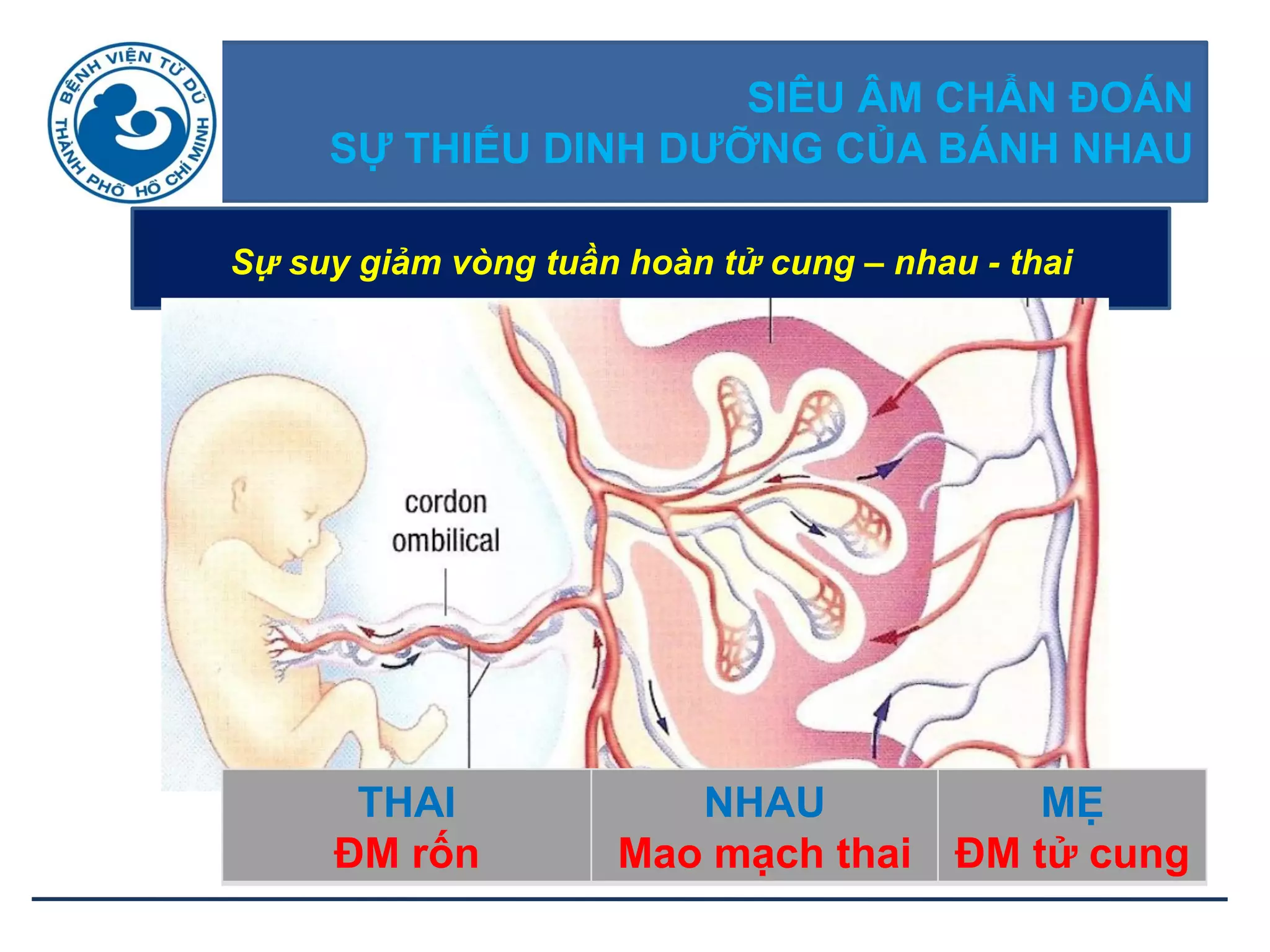 SIÊU ÂM CHẨN ĐOÁN
SỰ THIẾU DINH DƢỠNG CỦA BÁNH NHAU
Sự suy giảm vòng tuần hoàn tử cung – nhau - thai
THAI
ĐM rốn
NHAU
Mao mạch thai
MẸ
ĐM tử cung
 