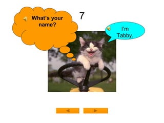 7 What’s your name? I’m Tabby. 