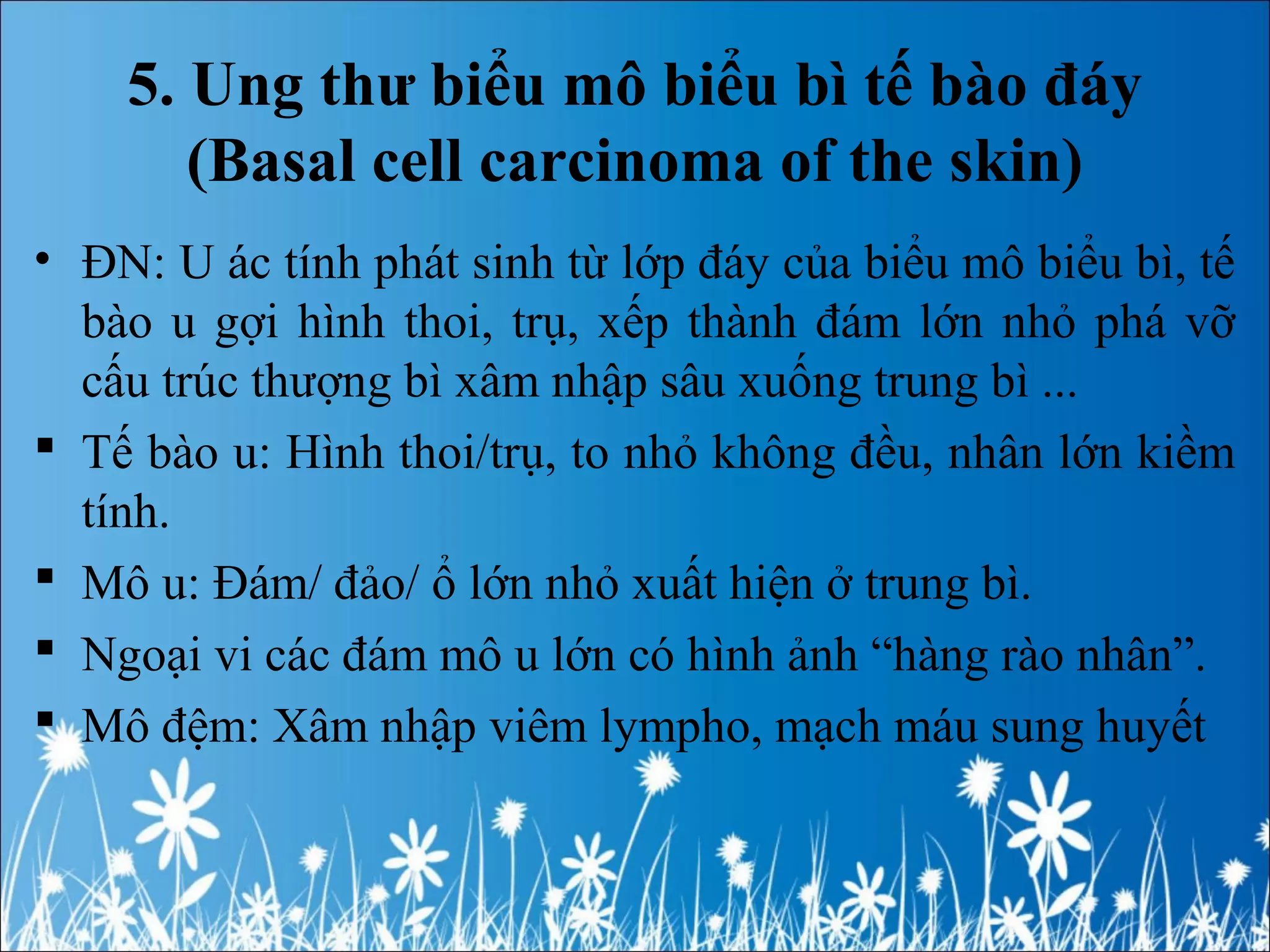 5. Ung thư biểu mô biểu bì tế bào đáy
(Basal cell carcinoma of the skin)
• ĐN: U ác tính phát sinh từ lớp đáy của biểu mô biểu bì, tế
bào u gợi hình thoi, trụ, xếp thành đám lớn nhỏ phá vỡ
cấu trúc thượng bì xâm nhập sâu xuống trung bì ...
 Tế bào u: Hình thoi/trụ, to nhỏ không đều, nhân lớn kiềm
tính.
 Mô u: Đám/ đảo/ ổ lớn nhỏ xuất hiện ở trung bì.
 Ngoại vi các đám mô u lớn có hình ảnh “hàng rào nhân”.
 Mô đệm: Xâm nhập viêm lympho, mạch máu sung huyết
 