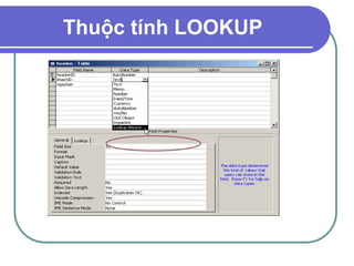Thuộc tính LOOKUP
 