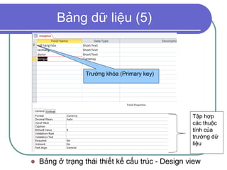 Bảng dữ liệu (5)
 Bảng ở trạng thái thiết kế cấu trúc - Design view
Trường khóa (Primary key)
Tập hợp
các thuộc
tính của
trường dữ
liệu
 