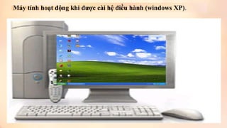 Máy tính hoạt động khi được cài hệ điều hành (windows XP). 
 