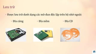 Lưu trữ 
• Được lưu trữ dưới dạng các mô-đun độc lập trên bộ nhớ ngoài: 
• Đĩa cứng • Đĩa mềm • Đĩa CD 
 