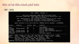 Một số hệ điều hành phổ biến 
• MS – DOS 
 