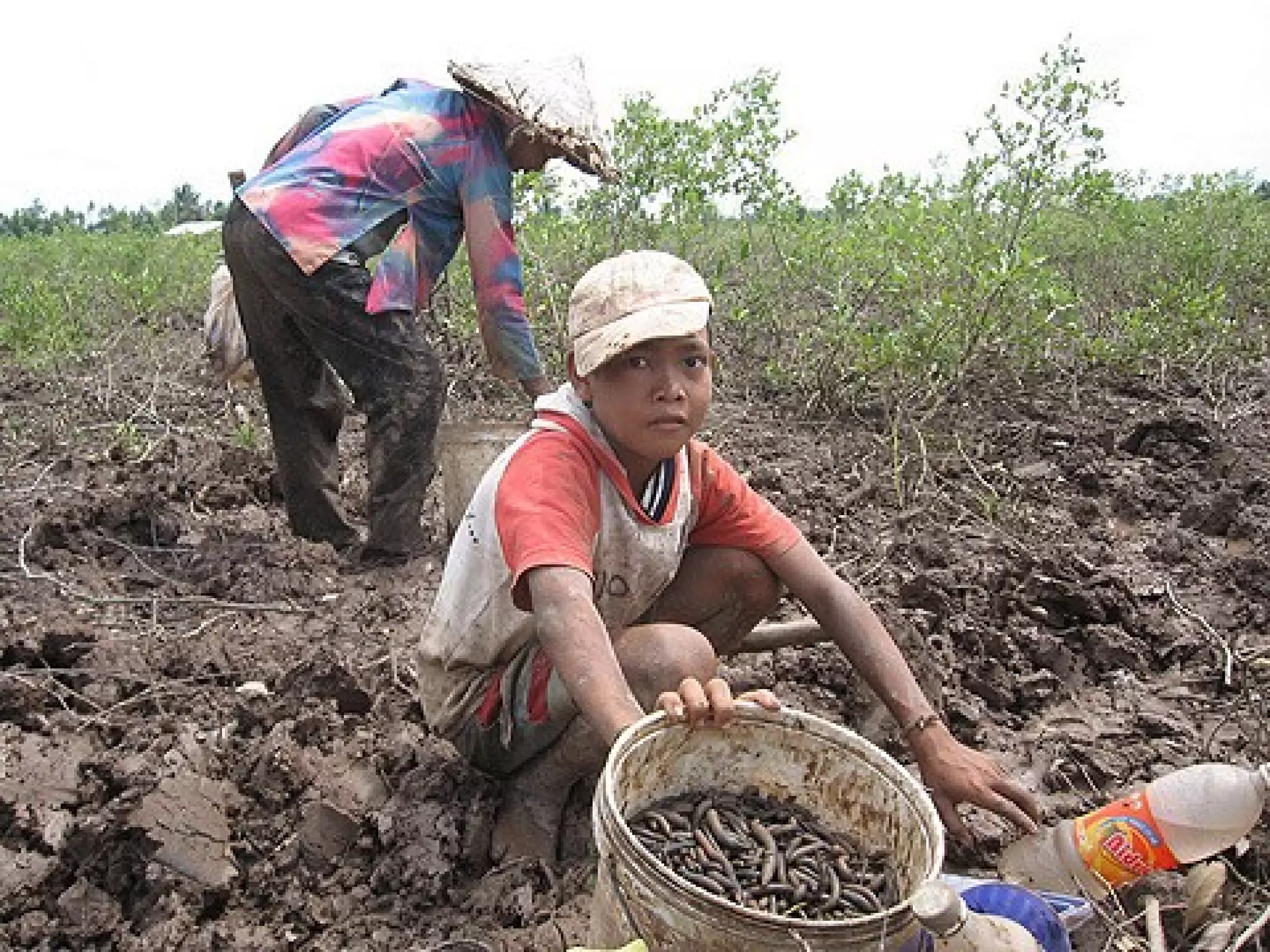 Bai 10 bien phap cai tao va su dung dat man datphen | PPT