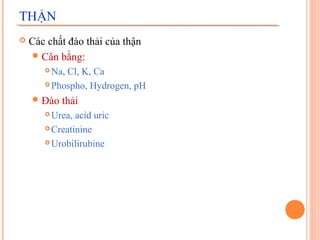THẬN


Các chất đào thải của thận
 Cân bằng:
Na, Cl, K, Ca
 Phospho, Hydrogen, pH


 Đào

thải

Urea, acid uric
 Creatinine
 Urobilirubine


 