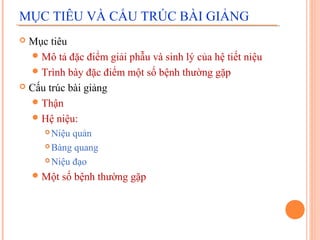 MỤC TIÊU VÀ CẤU TRÚC BÀI GIẢNG
Mục tiêu
 Mô tả đặc điểm giải phẫu và sinh lý của hệ tiết niệu
 Trình bày đặc điểm một số bệnh thường gặp
 Cấu trúc bài giảng
 Thận
 Hệ niệu:


Niệu quản
 Bàng quang
 Niệu đạo


 Một

số bệnh thường gặp

 