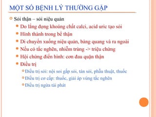 MỘT SỐ BỆNH LÝ THƯỜNG GẶP


Sỏi thận – sỏi niệu quản
 Do lắng đọng khoáng chất calci, acid uric tạo sỏi
 Hình thành trong bể thận
 Di chuyển xuống niệu quản, bàng quang và ra ngoài
 Nếu có tắc nghẽn, nhiễm trùng -> triệu chứng
 Hội chứng điển hình: cơn đau quặn thận
 Điều trị
Điều trị sỏi: nội soi gắp sỏi, tán sỏi, phẫu thuật, thuốc
 Điều trị cơ cấp: thuốc, giải áp vùng tắc nghẽn
 Điều trị ngừa tái phát


 