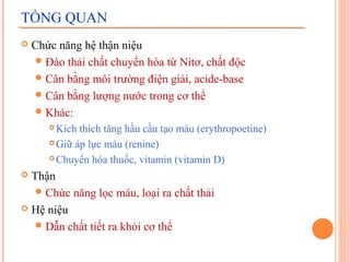TỔNG QUAN


Chức năng hệ thận niệu
 Đào thải chất chuyển hóa từ Nitơ, chất độc
 Cân bằng môi trường điện giải, acide-base
 Cân bằng lượng nước trong cơ thể
 Khác:
Kích thích tăng hầu cầu tạo máu (erythropoetine)
 Giữ áp lực máu (renine)
 Chuyển hóa thuốc, vitamin (vitamin D)


Thận
 Chức năng lọc máu, loại ra chất thải
 Hệ niệu
 Dẫn chất tiết ra khỏi cơ thể


 