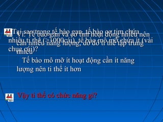 Tại sao trong tế bào gan, tế bào cơ tim chứaTại sao trong tế bào gan, tế bào cơ tim chứa
nhiều ti thể (>1000cái), tế bào mô mỡ chứa ít (vàinhiều ti thể (>1000cái), tế bào mô mỡ chứa ít (vài
chục cái)?chục cái)?
Vì: Tế bào gan và cơ tim hoạt động nhiều nênVì: Tế bào gan và cơ tim hoạt động nhiều nên
cần nhiều năng lượng, do đó ti thể tập trungcần nhiều năng lượng, do đó ti thể tập trung
nhiềunhiều
Tế bào mô mỡ ít hoạt động cần ít năngTế bào mô mỡ ít hoạt động cần ít năng
lượng nên ti thể ít hơnlượng nên ti thể ít hơn
Vậy ti thể có chức năng gì?Vậy ti thể có chức năng gì?
 