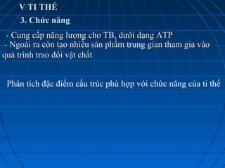 V TI THỂV TI THỂ
- Cung cấp năng lượng cho TB, dưới dạng ATP- Cung cấp năng lượng cho TB, dưới dạng ATP
- Ngoài ra còn tạo nhiều sản phẩm- Ngoài ra còn tạo nhiều sản phẩm trung gian tham gia vàogian tham gia vào
quá trình trao đổi vật chấtquá trình trao đổi vật chất
3. Chức năng
Phân tích đặc điểm cấu trúc phù hợp với chức năng của ti thể
 