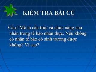 KIỂM TRA BÀI CŨKIỂM TRA BÀI CŨ
Câu1:Mô tả cấu trúc và chức năng củaCâu1:Mô tả cấu trúc và chức năng của
nhân trong tế bào nhân thực. Nếu khôngnhân trong tế bào nhân thực. Nếu không
có nhân tế bào có sinh trưởng đượccó nhân tế bào có sinh trưởng được
không? Vì sao?không? Vì sao?
 