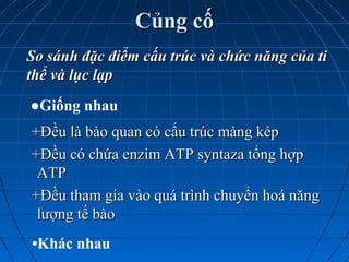 Củng cốCủng cố
+Đều là bào quan có cấu trúc màng kép+Đều là bào quan có cấu trúc màng kép
+Đều có chứa enzim ATP syntaza tổng hợp+Đều có chứa enzim ATP syntaza tổng hợp
ATPATP
+Đều tham gia vào quá trình chuyển hoá năng+Đều tham gia vào quá trình chuyển hoá năng
lượng tế bàolượng tế bào
So sánh đặc điểm cấu trúc và chức năng của tiSo sánh đặc điểm cấu trúc và chức năng của ti
thể và lục lạpthể và lục lạp
●Giống nhau
•Khác nhau
 