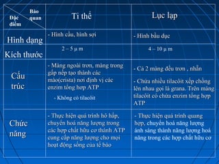 Bào
quanĐặc
điểm
Ti thể Lục lạpLục lạp
CấuCấu
trúctrúc
ChứcChức
năngnăng
- Màng ngoài trơn, màng trong- Màng ngoài trơn, màng trong
gấp nếp tạo thành cácgấp nếp tạo thành các
mào(crista) nơi định vị cácmào(crista) nơi định vị các
enzim tổng hơp ATPenzim tổng hơp ATP
- Cả 2 màng đều trơn , nhẵn- Cả 2 màng đều trơn , nhẵn
- Chứa nhiều tilacôit xếp chồng- Chứa nhiều tilacôit xếp chồng
lên nhau gọi là grana. Trên mànglên nhau gọi là grana. Trên màng
tilacôit có chứa enzim tổng hợptilacôit có chứa enzim tổng hợp
ATPATP
- Thực hiện quá trình hô hấp,- Thực hiện quá trình hô hấp,
chuyển hoá năng lượng trongchuyển hoá năng lượng trong
các hợp chất hữu cơ thành ATPcác hợp chất hữu cơ thành ATP
cung cấp năng lượng cho mọicung cấp năng lượng cho mọi
hoạt động sống của tế bàohoạt động sống của tế bào
- Thực hiện quá trình quang- Thực hiện quá trình quang
hợp,hợp, chuyển hoá năng lượng
ánh sáng thành năng lượng hoá
năng trong các hợp chất hữu cơ
- Hình cầu, hình sợi- Hình cầu, hình sợi - Hình bầu dục- Hình bầu dục
Hình dạng
Kích thước
2 – 5 µ m 4 – 10 µ m
- Không có tilacôit
 