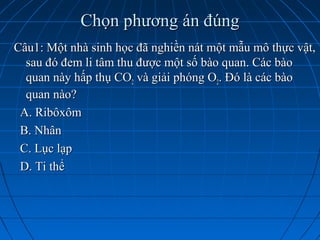 Chọn phương án đúngChọn phương án đúng
Câu1: Một nhà sinh học đã nghiền nát một mẫu mô thực vật,Câu1: Một nhà sinh học đã nghiền nát một mẫu mô thực vật,
sau đó đem li tâm thu được một số bào quan. Các bàosau đó đem li tâm thu được một số bào quan. Các bào
quan này hấp thụ COquan này hấp thụ CO22 và giải phóng Ovà giải phóng O22. Đó là các bào. Đó là các bào
quan nào?quan nào?
A. RibôxômA. Ribôxôm
B. NhânB. Nhân
C. Lục lạpC. Lục lạp
D. Ti thểD. Ti thể
 