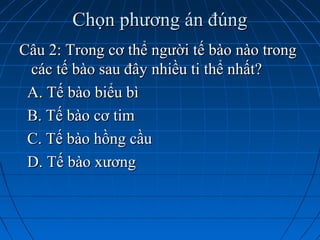 Câu 2: Trong cơ thể người tế bào nào trongCâu 2: Trong cơ thể người tế bào nào trong
các tế bào sau đây nhiều ti thể nhất?các tế bào sau đây nhiều ti thể nhất?
A. Tế bào biểu bìA. Tế bào biểu bì
B. Tế bào cơ timB. Tế bào cơ tim
C. Tế bào hồng cầuC. Tế bào hồng cầu
D. Tế bào xươngD. Tế bào xương
Chọn phương án đúngChọn phương án đúng
 