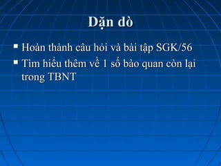 Dặn dòDặn dò
 Hoàn thành câu hỏi và bài tập SGK/56Hoàn thành câu hỏi và bài tập SGK/56
 Tìm hiểu thêm về 1 số bào quan còn lạiTìm hiểu thêm về 1 số bào quan còn lại
trong TBNTtrong TBNT
 